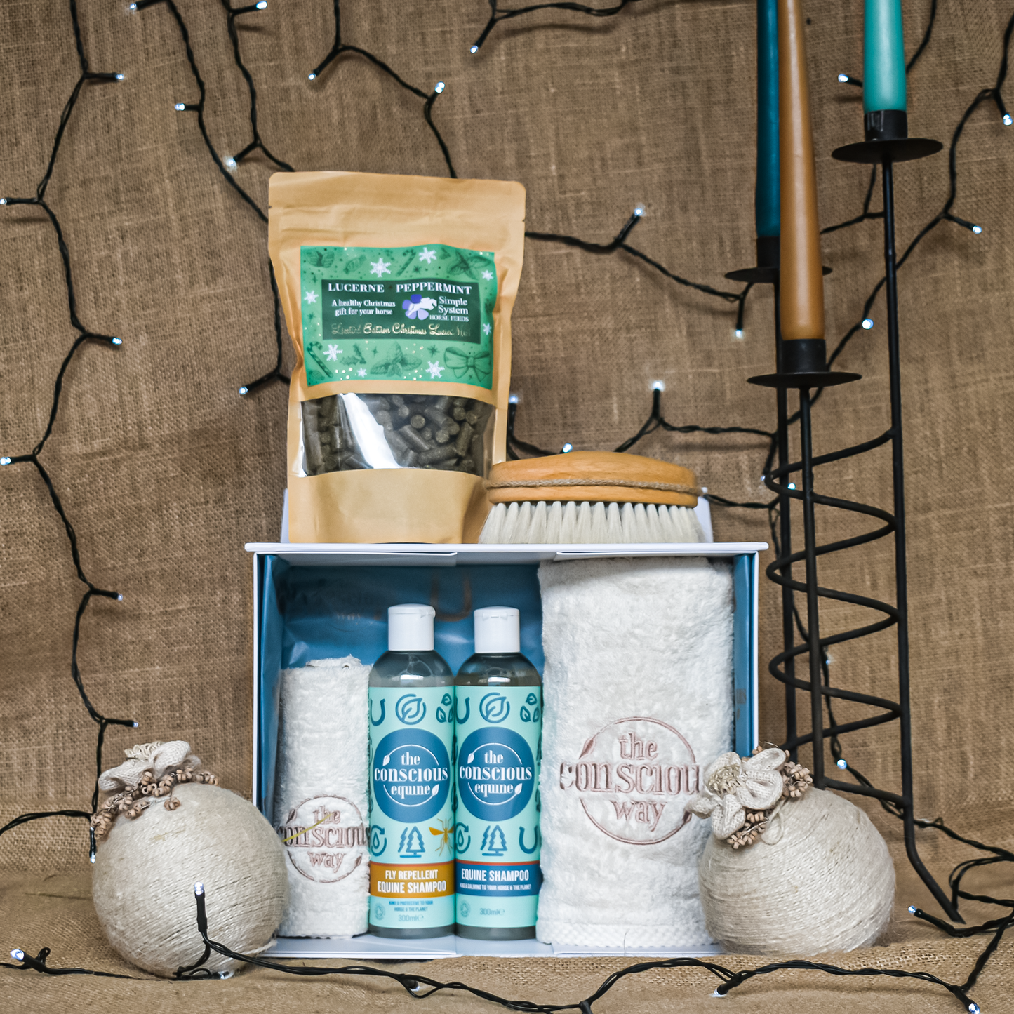 The Ultimate Gift for Horse Lovers